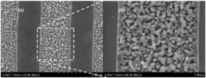 Virus Elektroautos Akku Lithium-Ionen