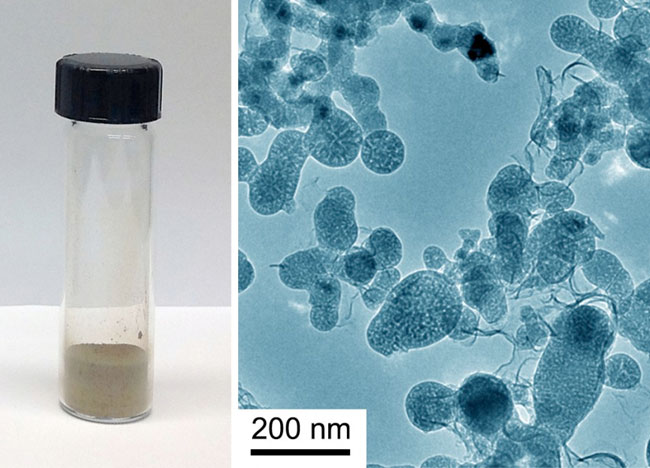 Hier kann man die Nanopartikel aus Silizium als "Pulver" und unter dem Mikroskop sehen. Bildquelle: Chongwu Zhou und Mingyuan Zhou / University of Southern California (USC)
