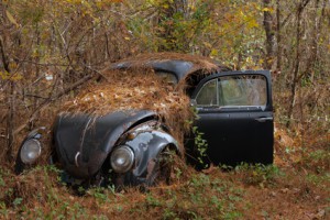 Volkswagen in the Woods © ostrows1 - Fotolia.com