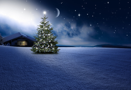 Weihnachtshütte mit einem Weihnachtsbaum. © by-studio - Fotolia.com