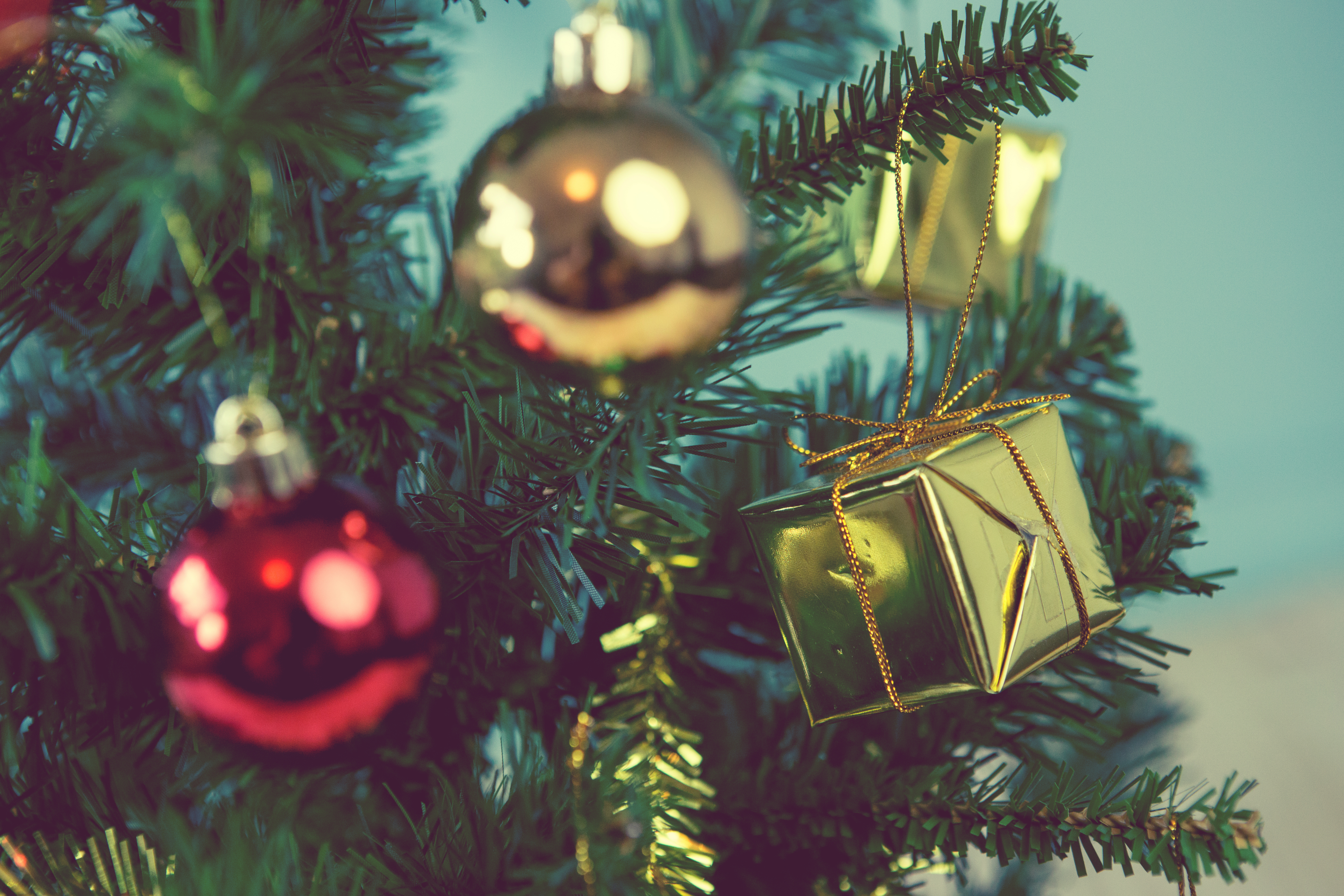 Ein Weihnachtsbaum mit Schmuck. Bildquelle: @DN6 - Fotolia.com