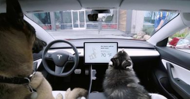 Die Elektroautos von Tesla haben nun auch den Dog Mode. Bildquelle: Tesla